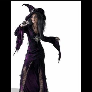 The evil court sorceress costume ( dress and hat)